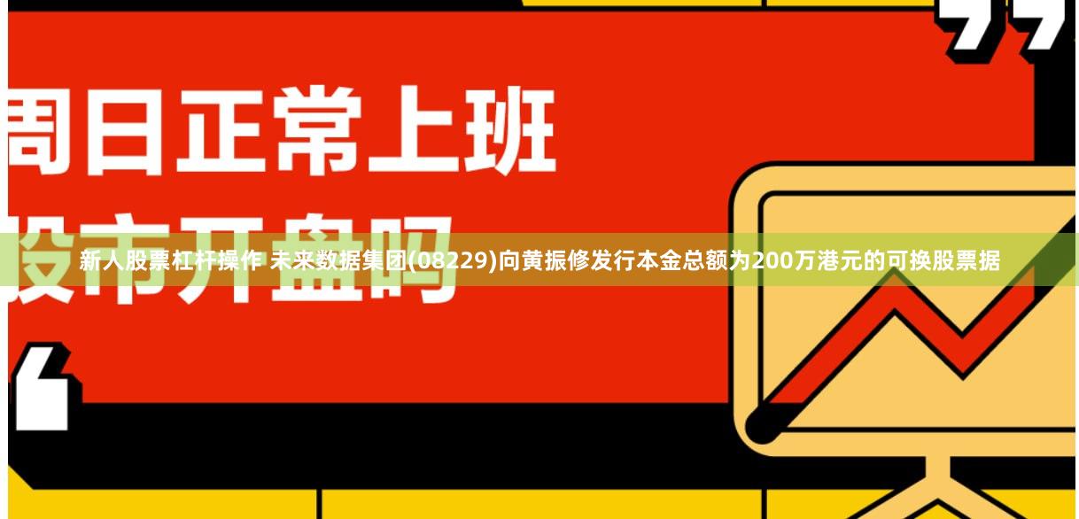 新人股票杠杆操作 未来数据集团(08229)向黄振修发行本金总额为200万港元的可换股票据