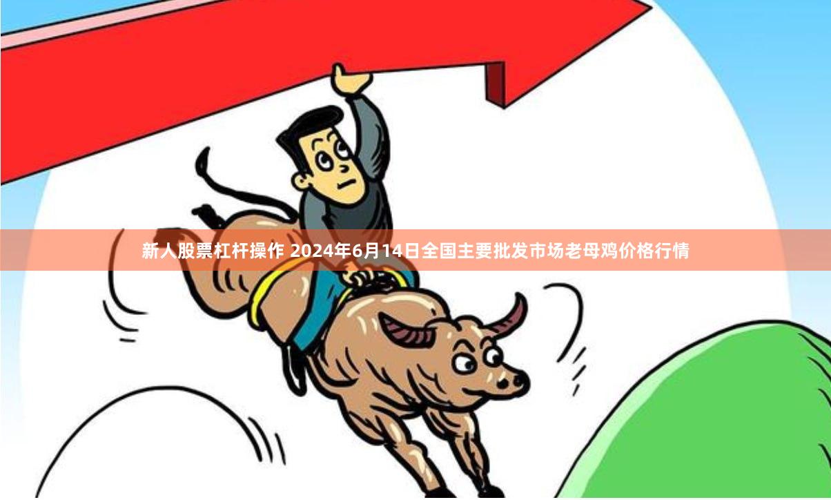 新人股票杠杆操作 2024年6月14日全国主要批发市场老母鸡价格行情
