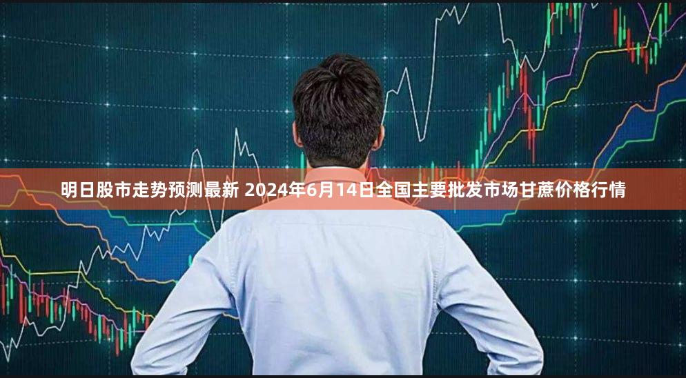 明日股市走势预测最新 2024年6月14日全国主要批发市场甘蔗价格行情