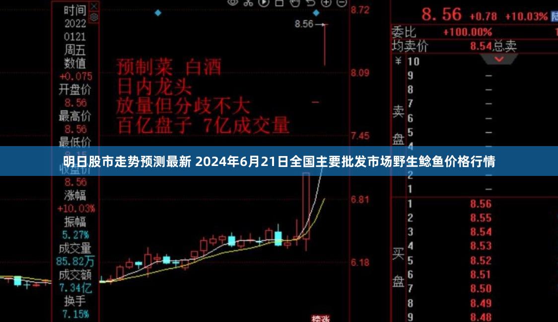 明日股市走势预测最新 2024年6月21日全国主要批发市场野生鲶鱼价格行情