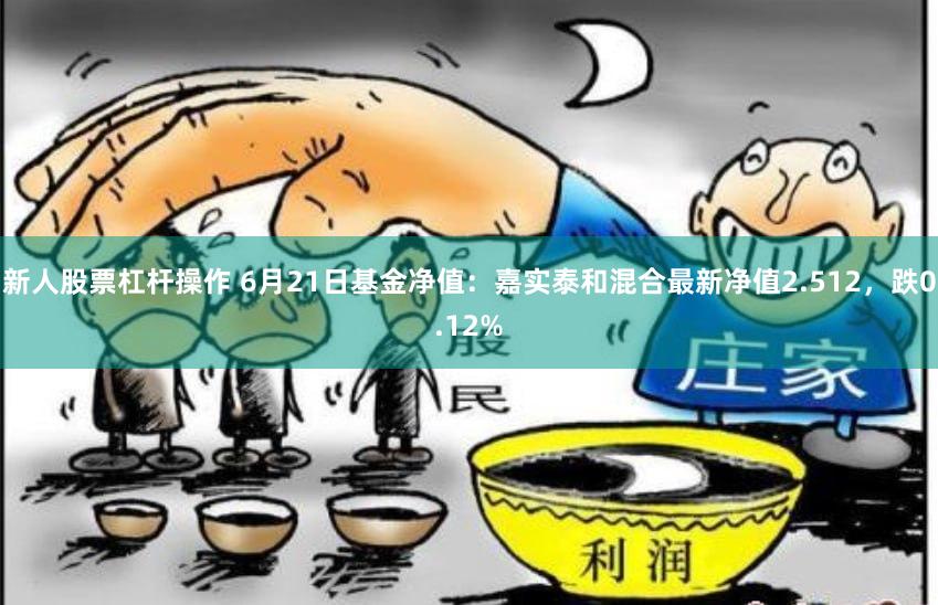 新人股票杠杆操作 6月21日基金净值：嘉实泰和混合最新净值2.512，跌0.12%