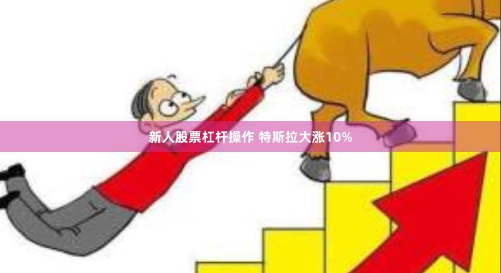 新人股票杠杆操作 特斯拉大涨10%