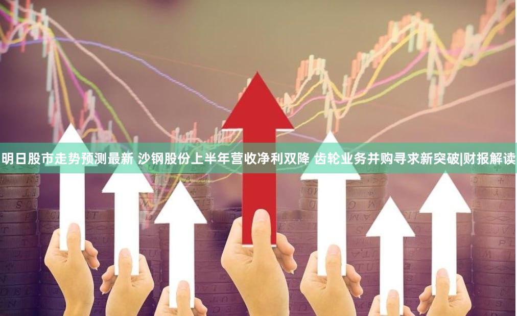 明日股市走势预测最新 沙钢股份上半年营收净利双降 齿轮业务并购寻求新突破|财报解读