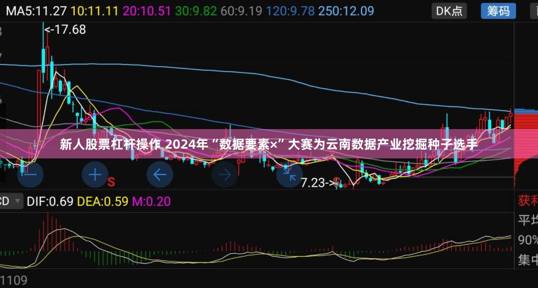 新人股票杠杆操作 2024年“数据要素×”大赛为云南数据产业挖掘种子选手
