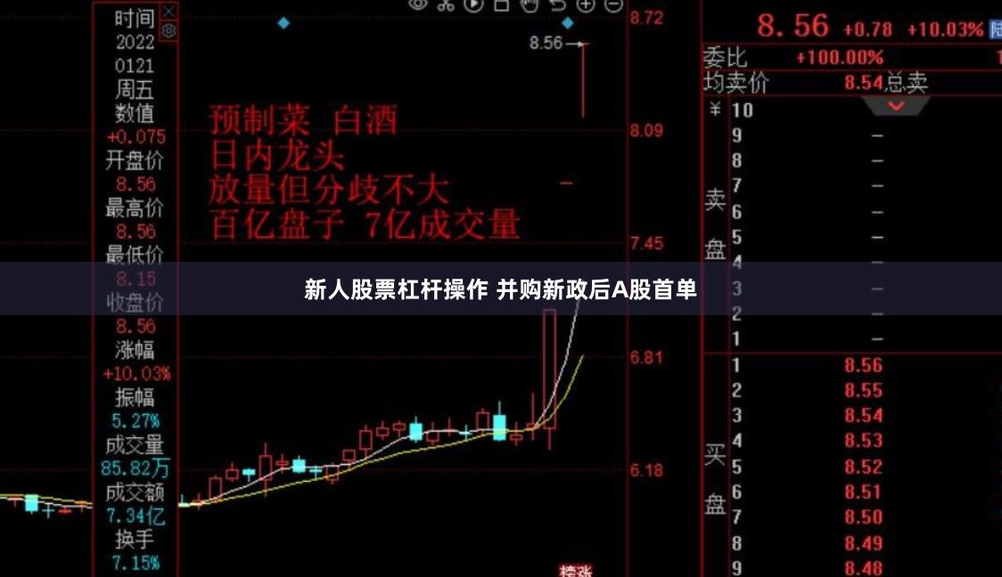 新人股票杠杆操作 并购新政后A股首单