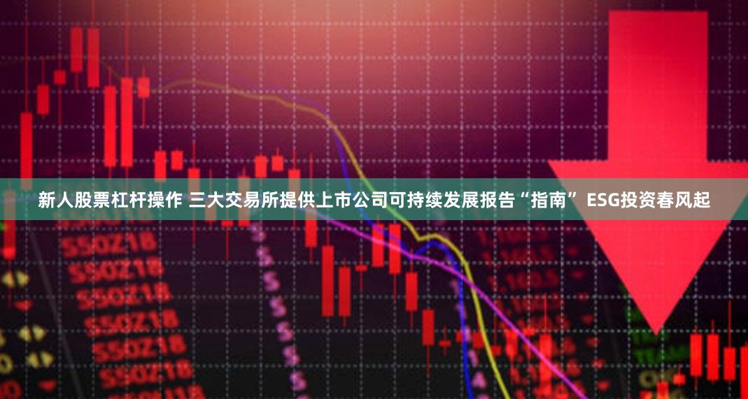新人股票杠杆操作 三大交易所提供上市公司可持续发展报告“指南” ESG投资春风起