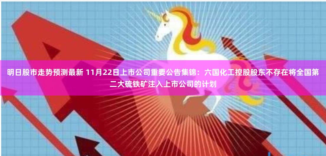 明日股市走势预测最新 11月22日上市公司重要公告集锦：六国化工控股股东不存在将全国第二大硫铁矿注入上市公司的计划