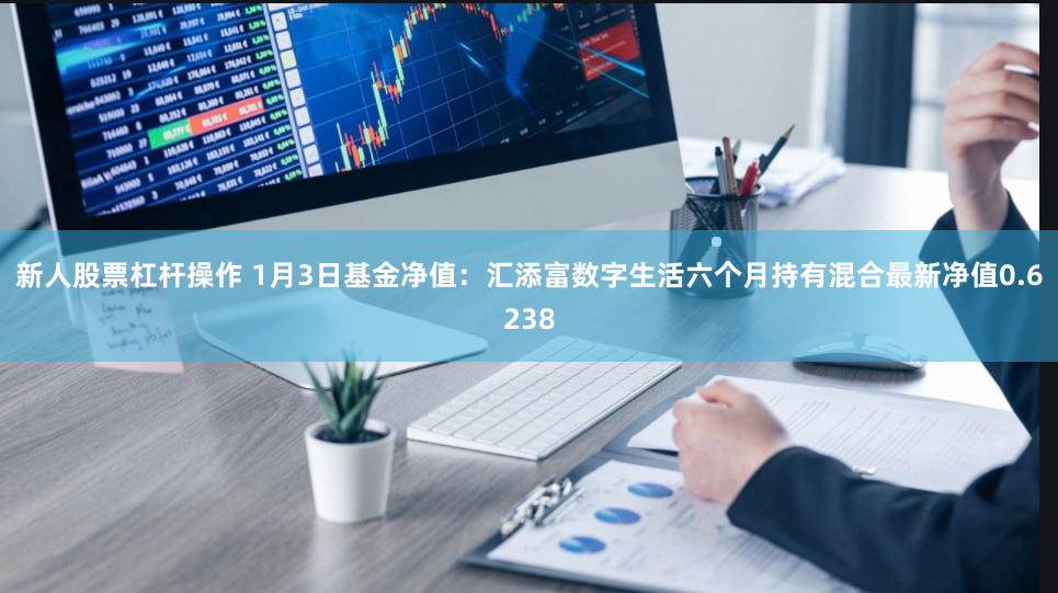 新人股票杠杆操作 1月3日基金净值：汇添富数字生活六个月持有混合最新净值0.6238