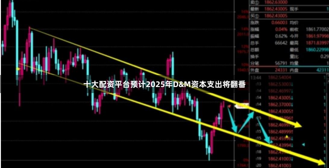 十大配资平台预计2025年D&M资本支出将翻番