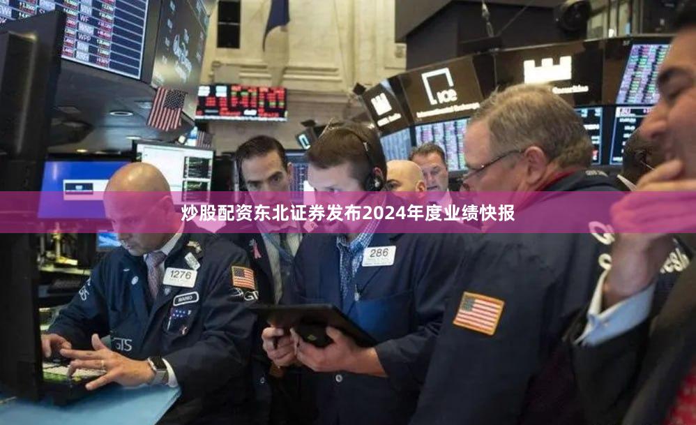 炒股配资东北证券发布2024年度业绩快报